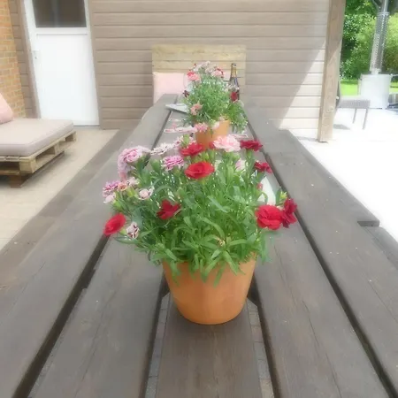 Coeur De Loup Hébergement de vacances Sourbrodt